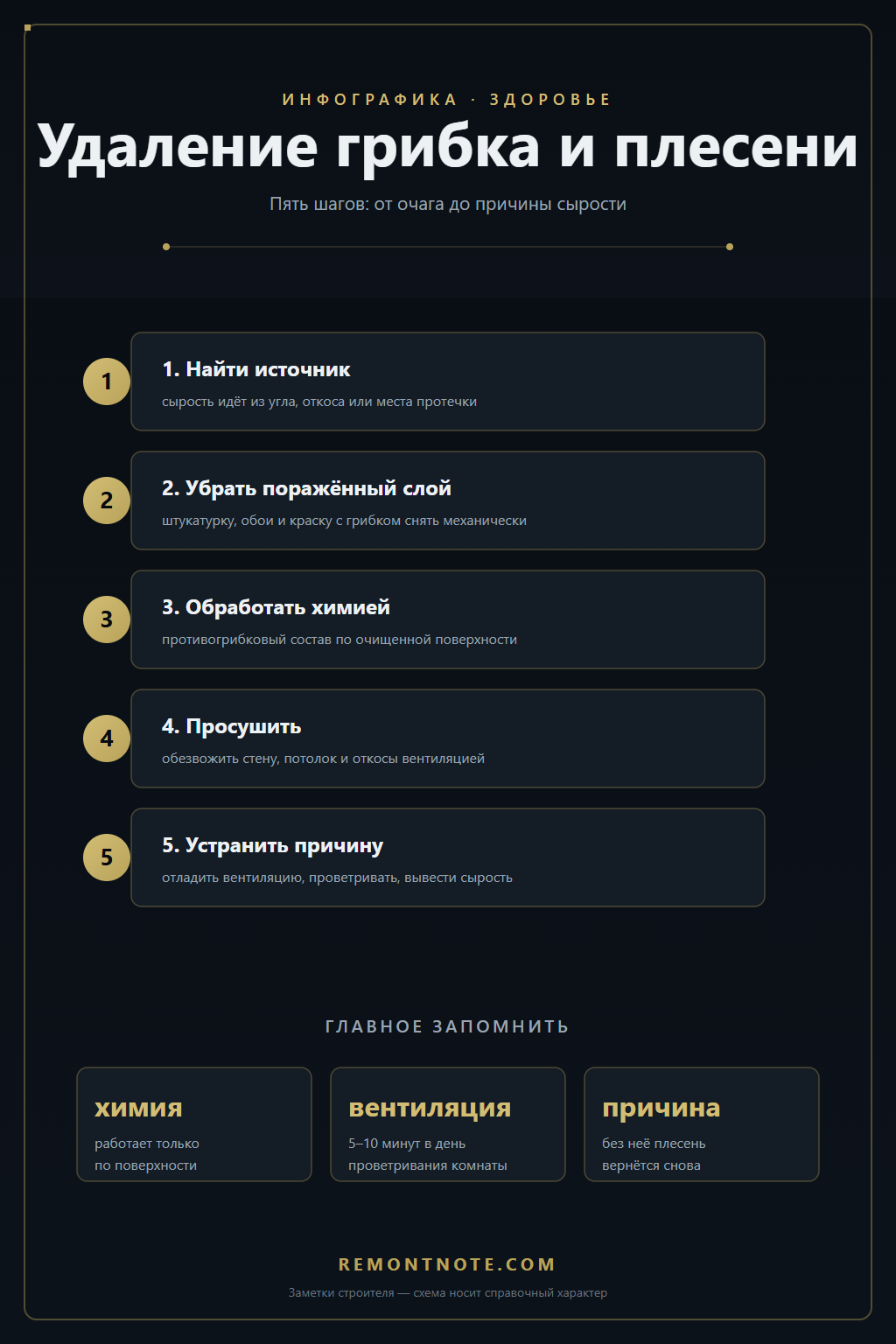 Удаление грибка и плесени в квартире: пять шагов